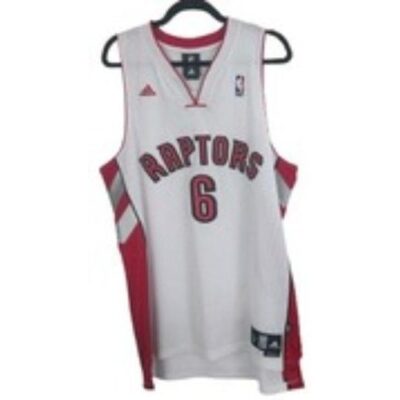 NBA 10117 Jermaine O'Neal #6 Toronto Raptors ADIDAS Jersey White LARGE